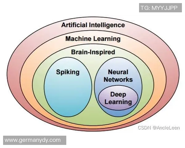 成都飞盘队中路突破战术解析与实战应用深度剖析